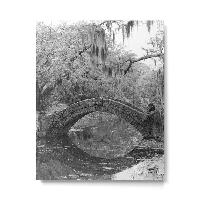 New Orleans City Park Photography Metal Print Gallery Image 1