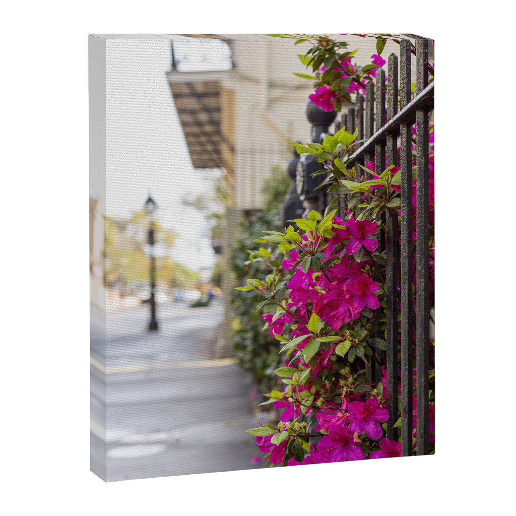 New Orleans French Quarter Photography x Azaleas in the Quarter Canvas Print Gallery Image 6