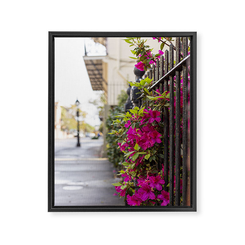 New Orleans French Quarter Photography x Azaleas in the Quarter Framed Canvas Print Gallery Image 6