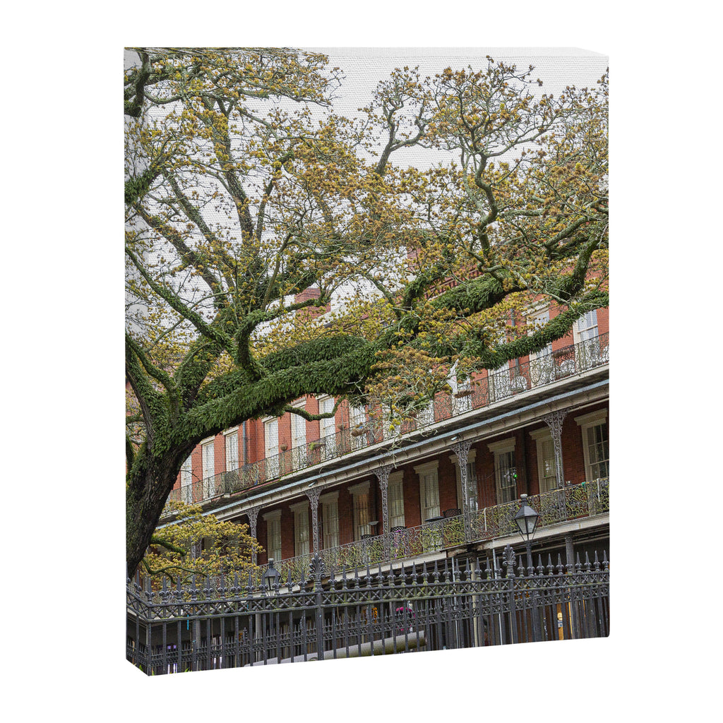 New Orleans Jackson Square Photography Canvas Print Gallery Image 6