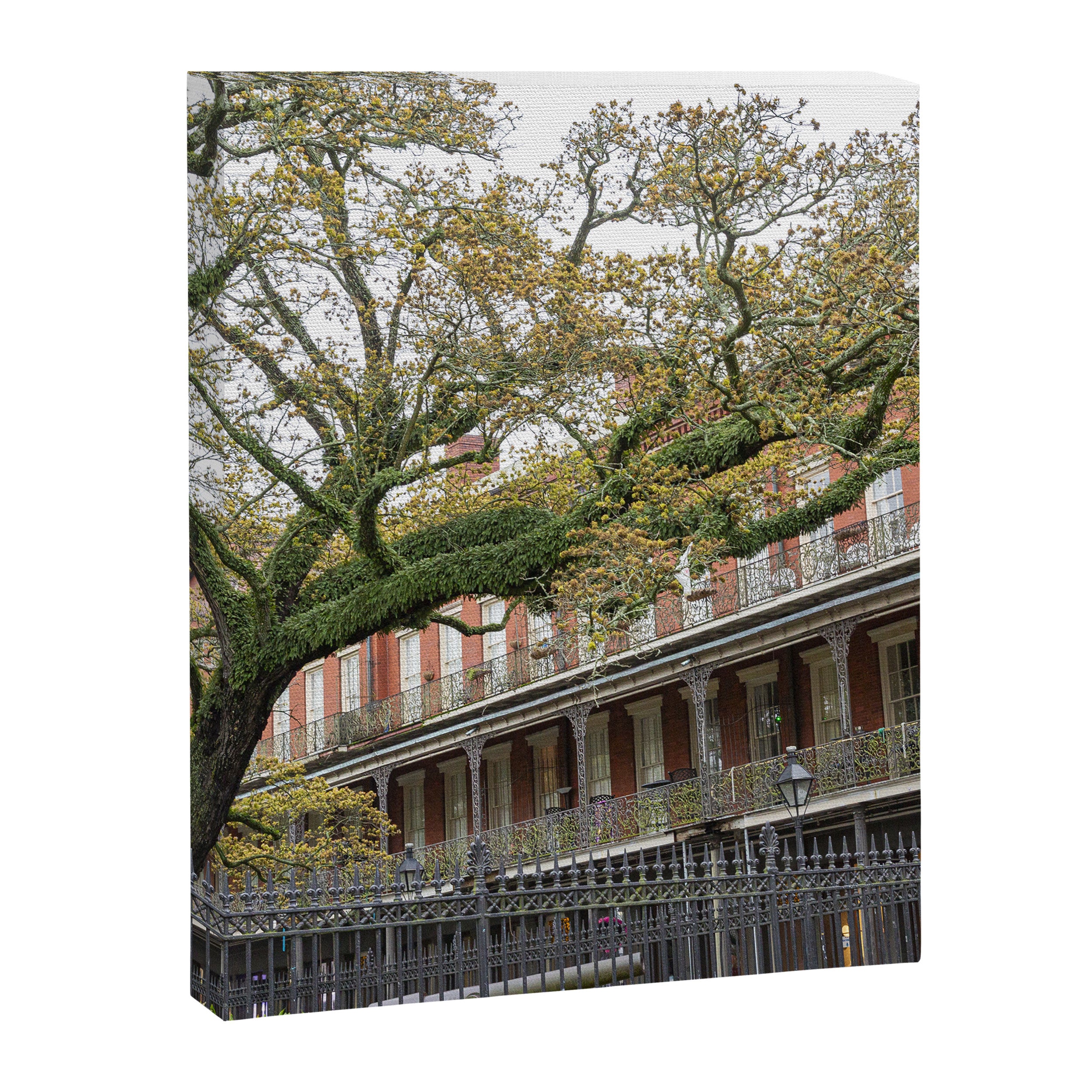 New Orleans Jackson Square Photography Canvas Print Gallery Image 6