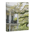 New Orleans Louisiana Photography x Uptown Oaks Canvas Print Gallery Image 6