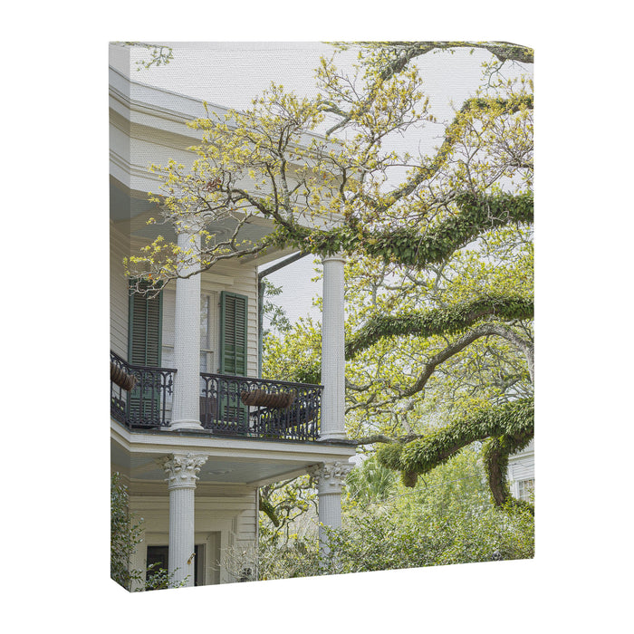 New Orleans Louisiana Photography x Uptown Oaks Canvas Print Gallery Image 1