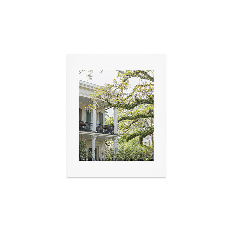 New Orleans Louisiana Photography x Uptown Oaks Art Print Gallery Image 1