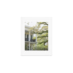 New Orleans Louisiana Photography x Uptown Oaks Art Print Gallery Image 1