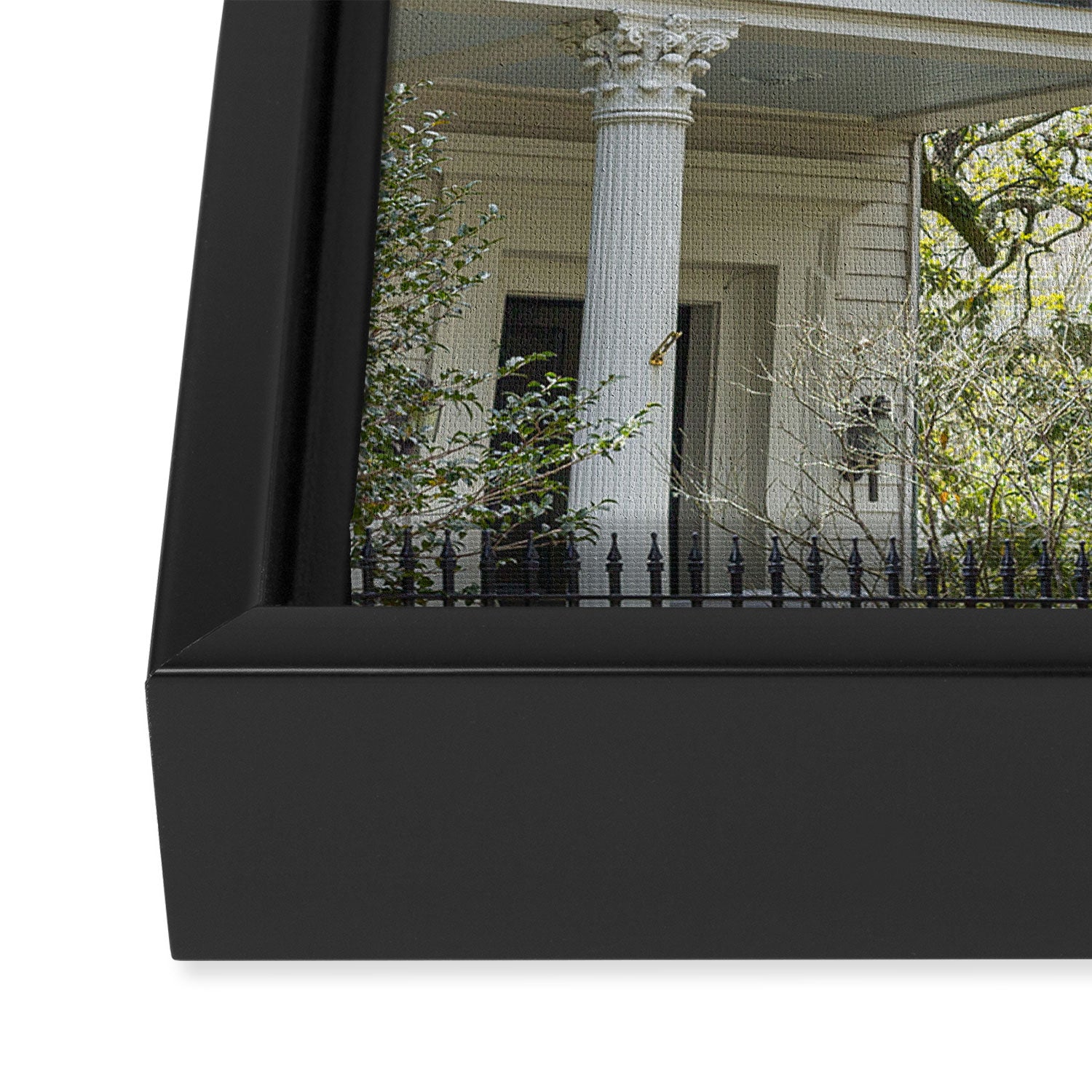 New Orleans Louisiana Photography x Uptown Oaks Framed Canvas Print Gallery Image 3