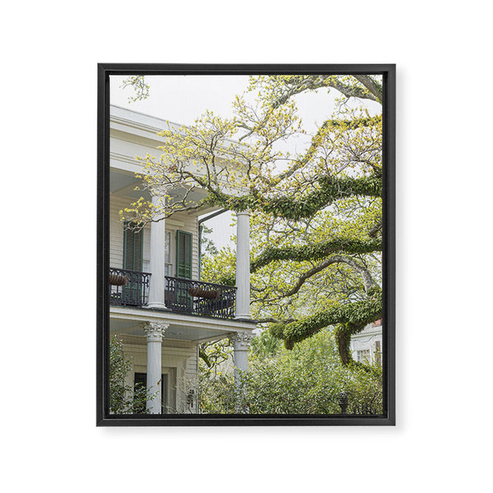 New Orleans Louisiana Photography x Uptown Oaks Framed Canvas Print Gallery Image 1