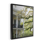 New Orleans Louisiana Photography x Uptown Oaks Framed Canvas Print Gallery Image 2