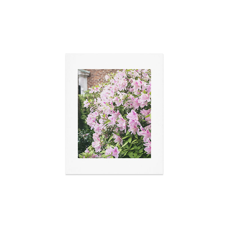 New Orleans Photography x Spring in the Garden District of New Orleans Art Print Gallery Image 1