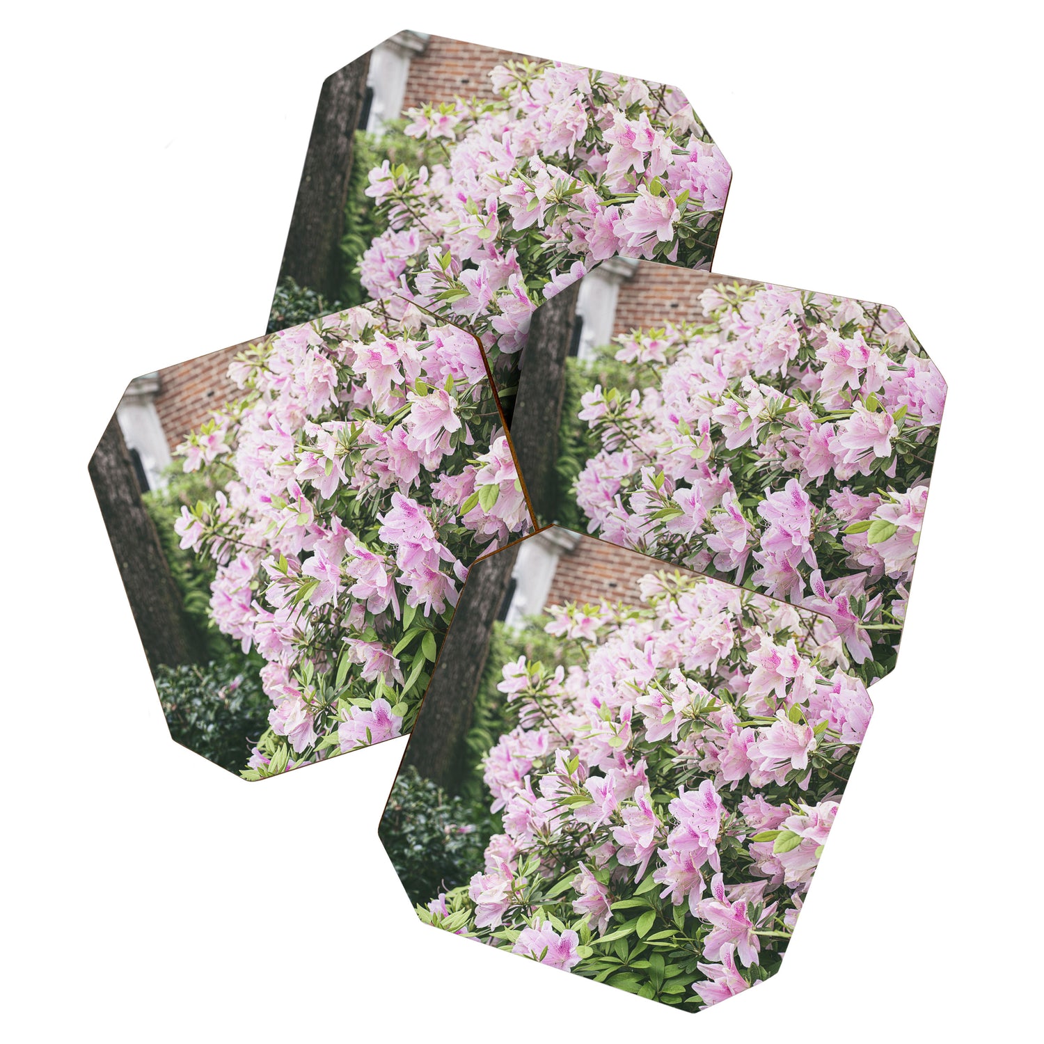 New Orleans Photography x Spring in the Garden District of New Orleans Coaster Gallery Image 1