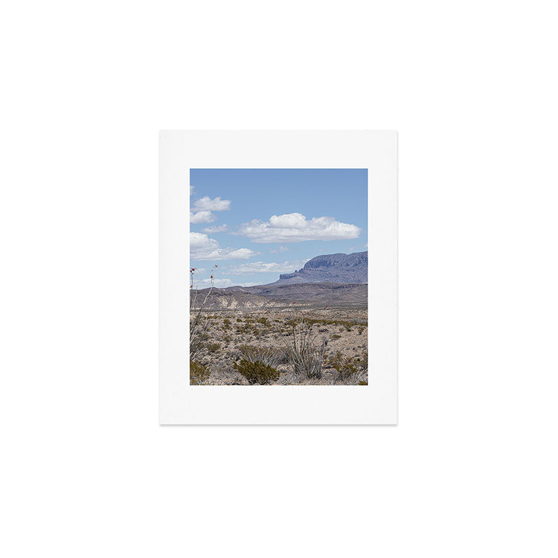 Ocotillo In Bloom at Big Bend National Park Photography Print Art Print Gallery Image 1