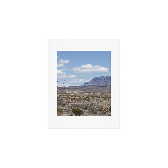 Ocotillo In Bloom at Big Bend National Park Photography Print Art Print Gallery Image 1