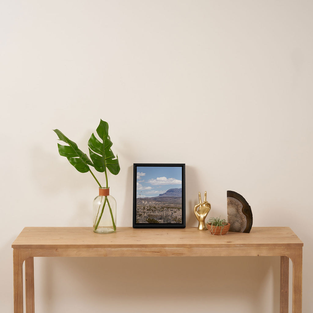 Ocotillo In Bloom at Big Bend National Park Photography Print Framed Canvas Print Gallery Image 4