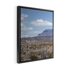Ocotillo In Bloom at Big Bend National Park Photography Print Framed Canvas Print Gallery Image 2