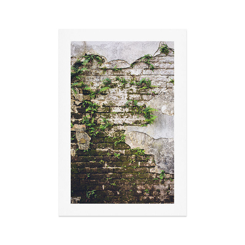 Organic Textures x New Orleans Photography Art Print Gallery Image 1