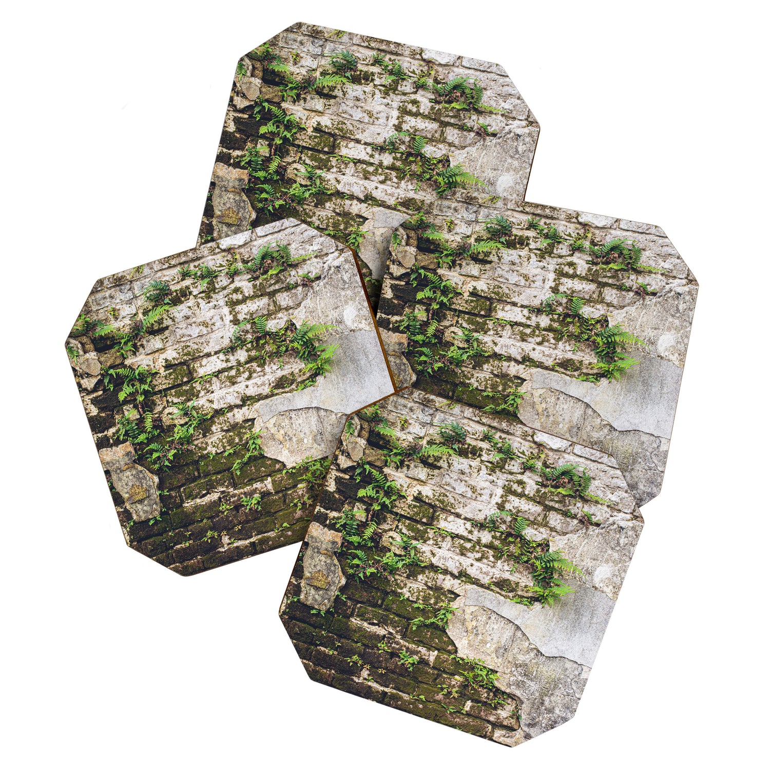 Organic Textures x New Orleans Photography Coaster Gallery Image 1
