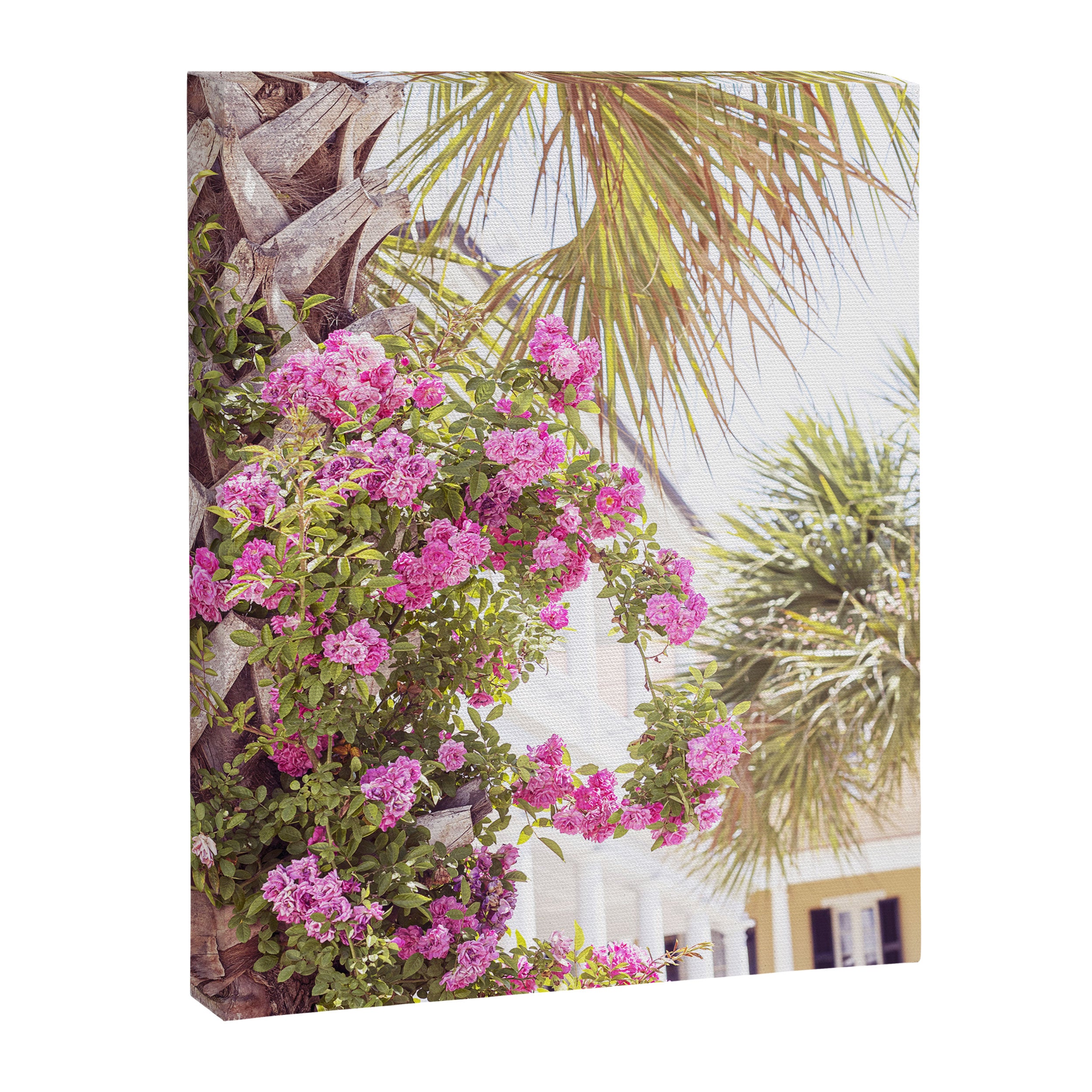 Palmettos and Roses x Charleston South Carolina Photography Canvas Print Gallery Image 6