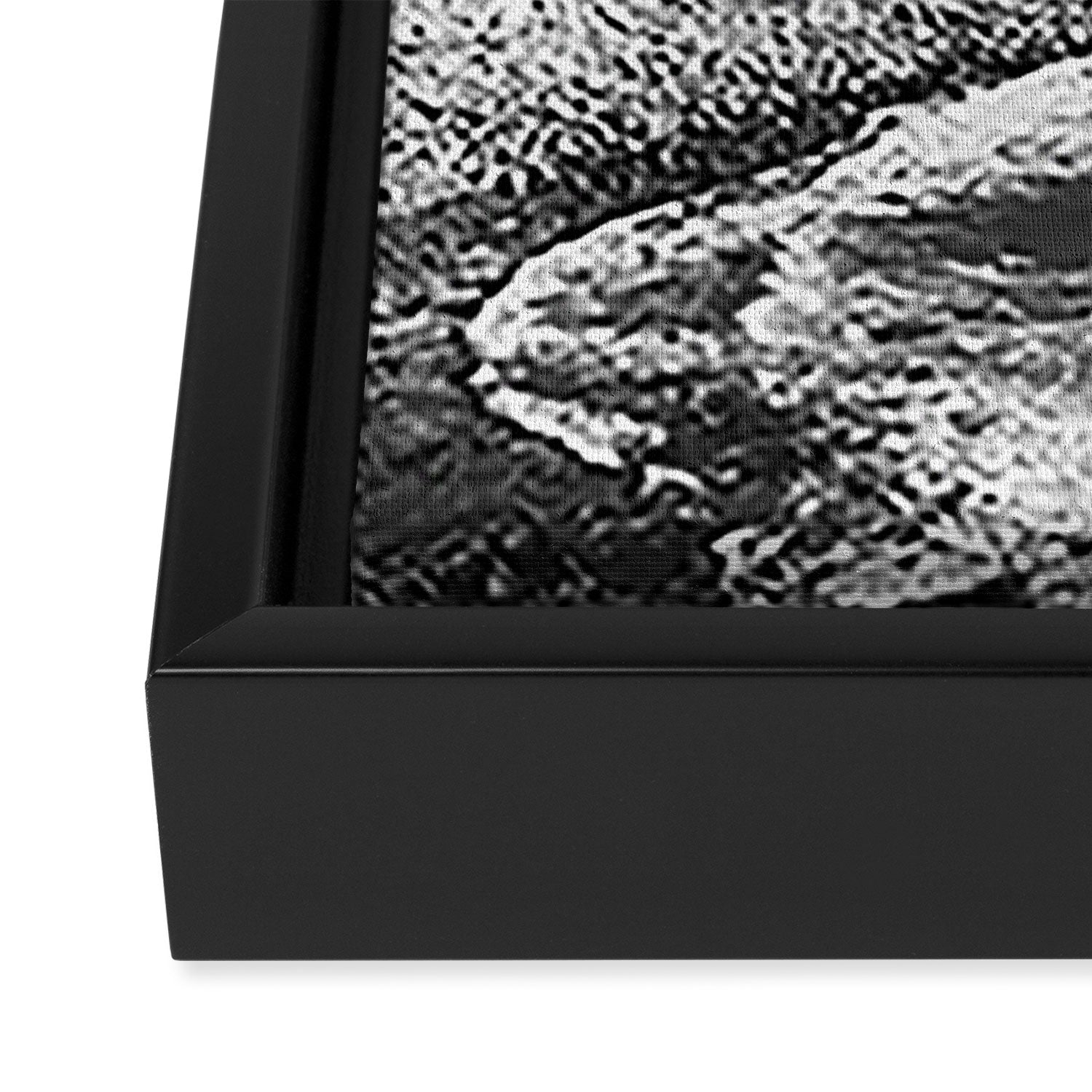 Palos Verdes Peninsula Framed Canvas Print Gallery Image 3