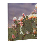 Prickly Pear Blooms I Canvas Print Gallery Image 6