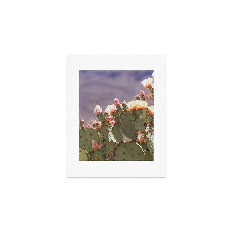 Prickly Pear Blooms I Art Print Gallery Image 1