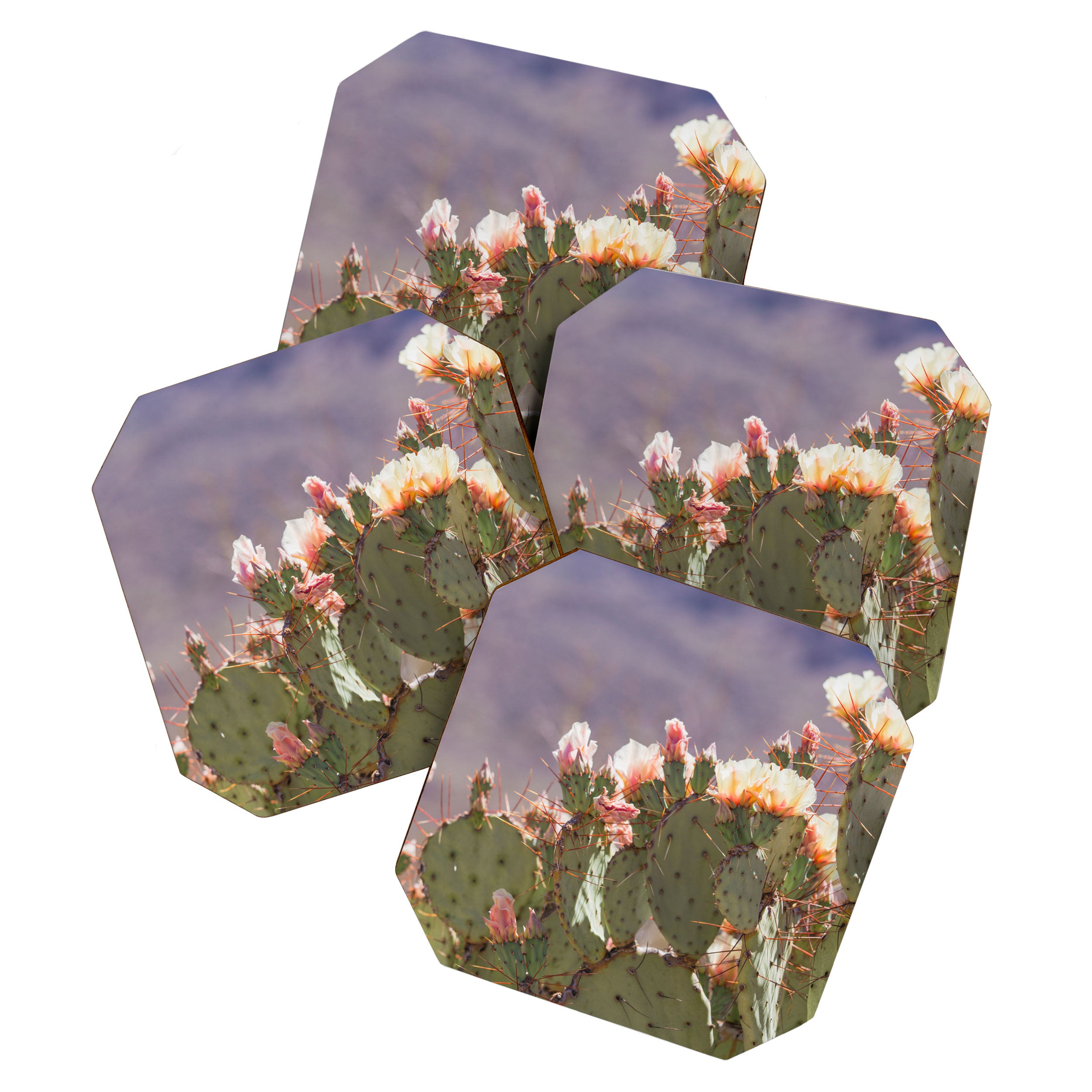 Prickly Pear Blooms I Coaster Gallery Image 1