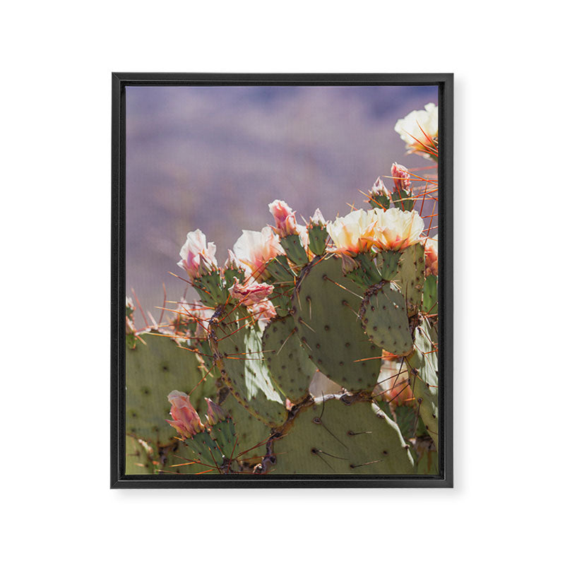 Prickly Pear Blooms I Framed Canvas Print Gallery Image 6