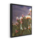 Prickly Pear Blooms I Framed Canvas Print Gallery Image 2