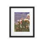 Prickly Pear Blooms I Framed Art Print Gallery Image 5