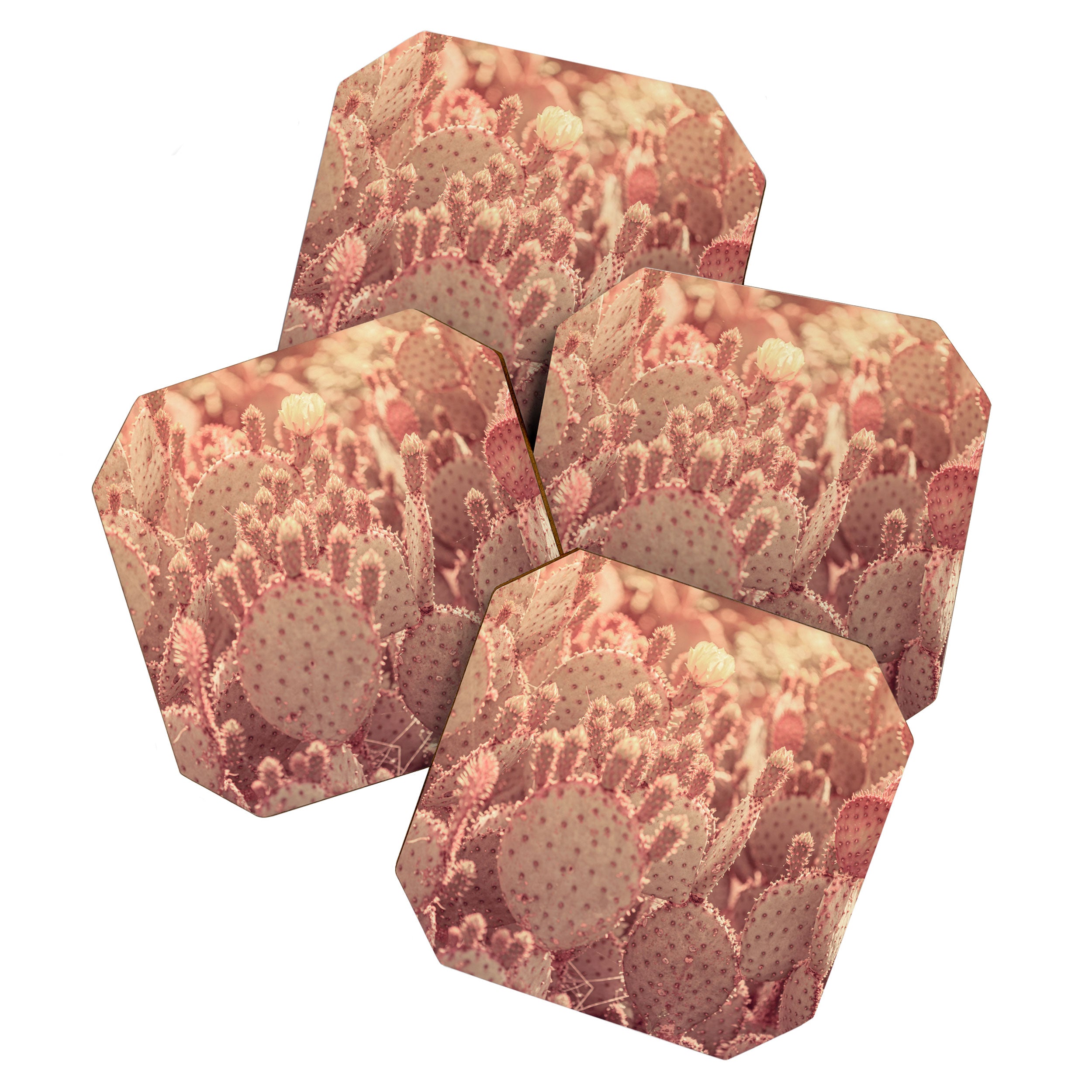 Rose Gold Cactus Coaster Gallery Image 1