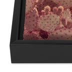 Rose Gold Cactus Framed Canvas Print Gallery Image 3