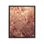 Rose Gold Cactus Framed Canvas Print Gallery Image 6