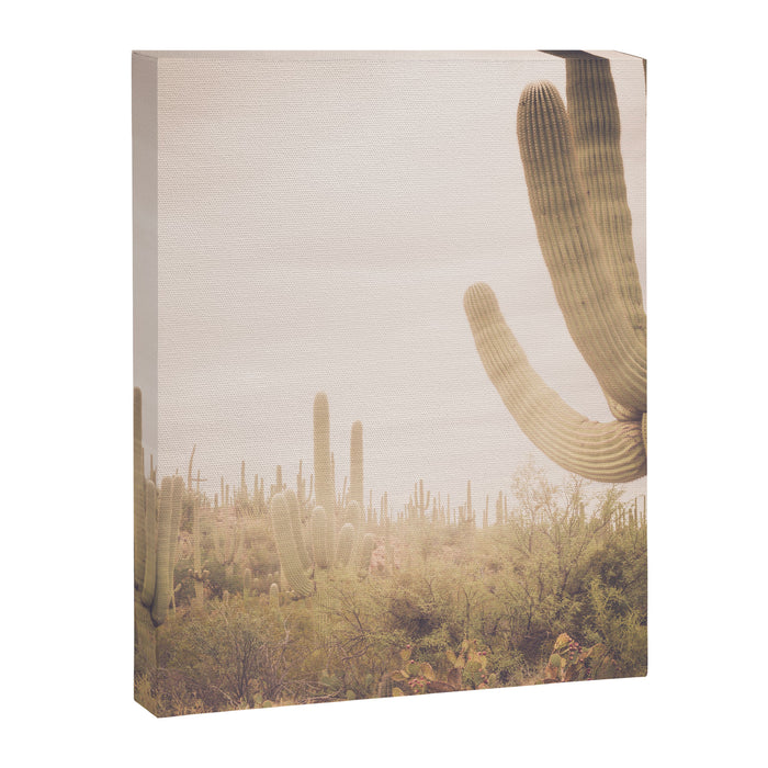 Saguaro Sunrise Canvas Print Gallery Image 1