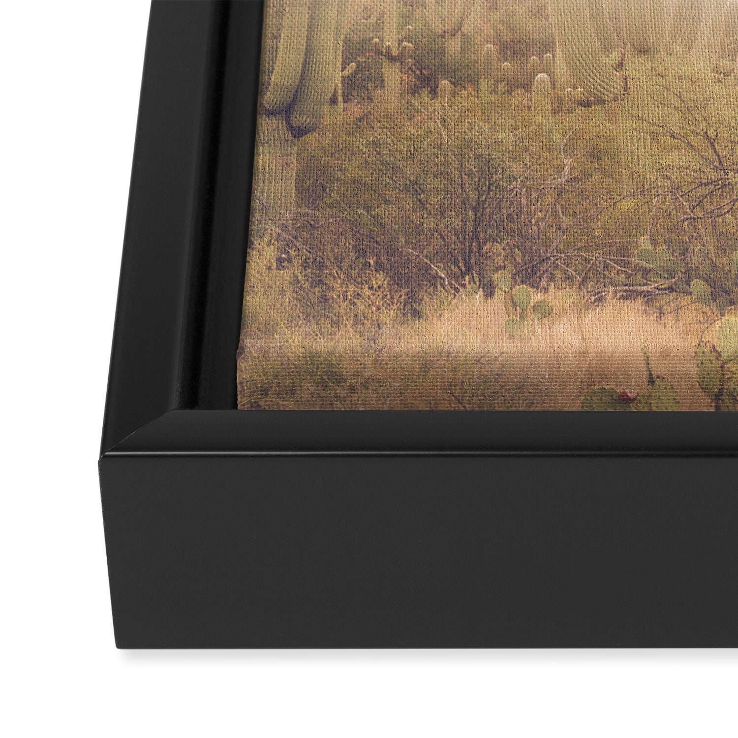 Saguaro Sunrise Framed Canvas Print Gallery Image 3