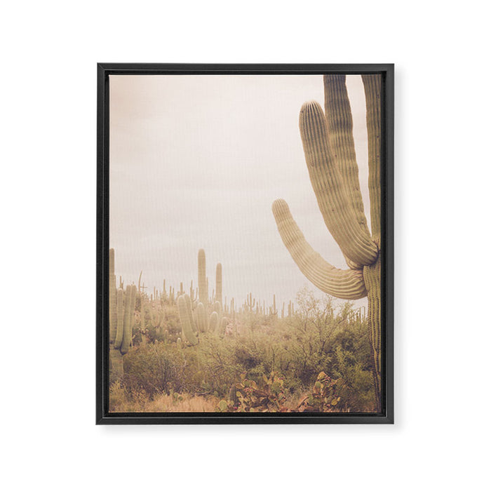 Saguaro Sunrise Framed Canvas Print Gallery Image 1