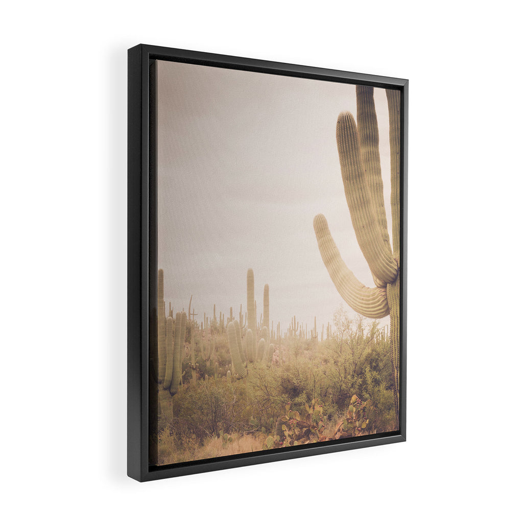 Saguaro Sunrise Framed Canvas Print Gallery Image 2