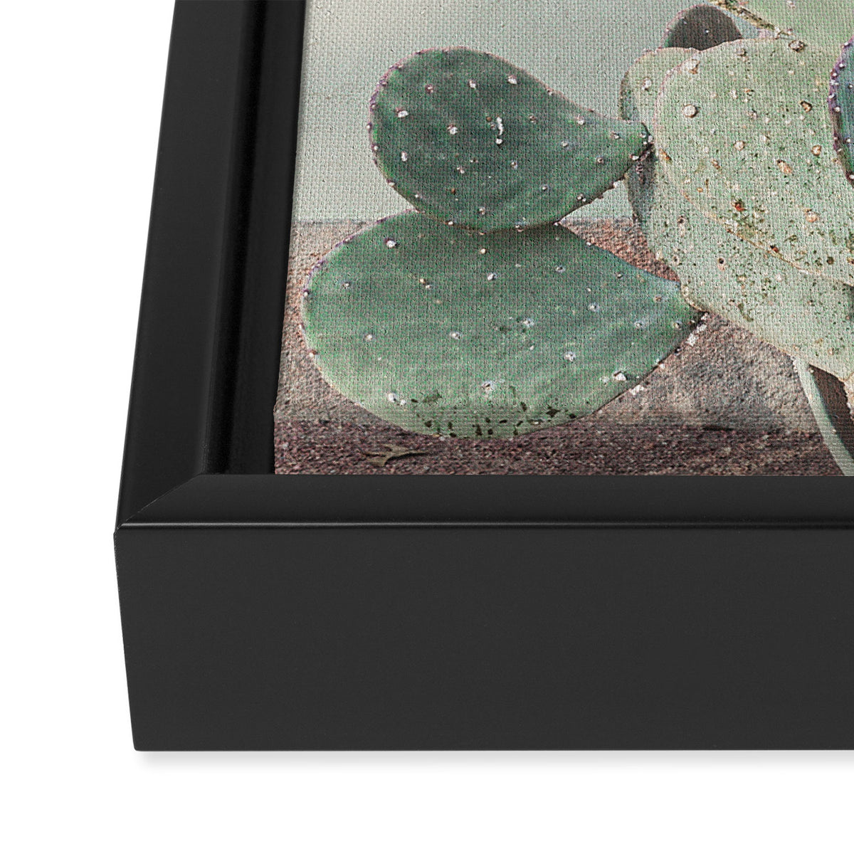 Scenes from Marfa II x Pink Cactus Art Framed Canvas Print Gallery Image 3