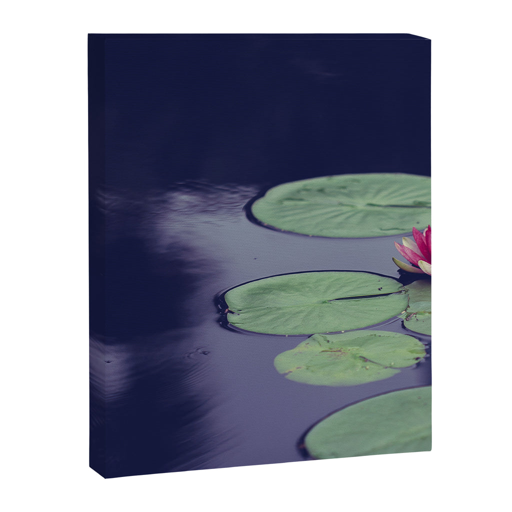 She Walks in Beauty Canvas Print Gallery Image 6