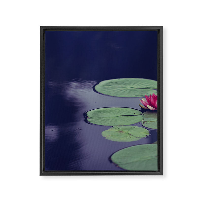 She Walks in Beauty Framed Canvas Print Gallery Image 6