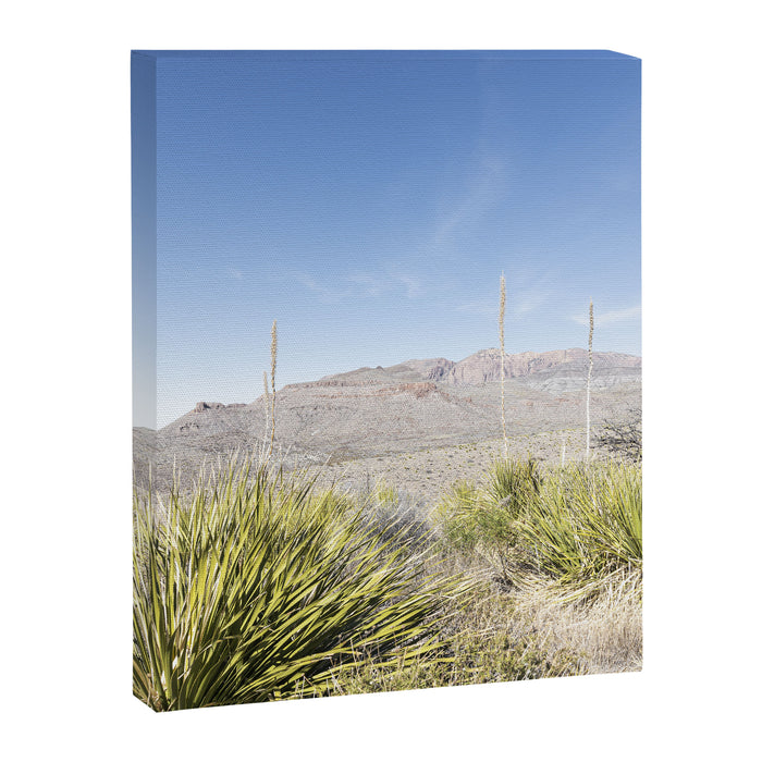 Sotol Vista II x Big Bend National Park Vertical Photography Canvas Print Gallery Image 1