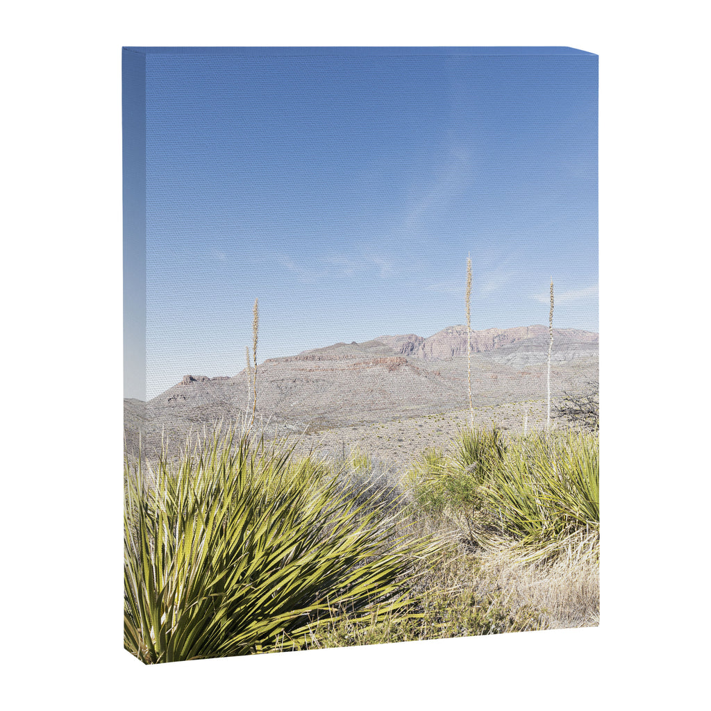 Sotol Vista II x Big Bend National Park Vertical Photography Canvas Print Gallery Image 6