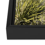 Sotol Vista II x Big Bend National Park Vertical Photography Framed Canvas Print Gallery Image 3