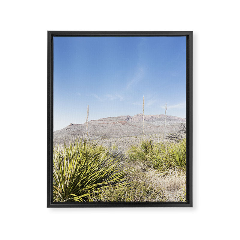 Sotol Vista II x Big Bend National Park Vertical Photography Framed Canvas Print Gallery Image 6
