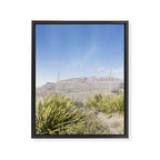 Sotol Vista II x Big Bend National Park Vertical Photography Framed Canvas Print Gallery Image 6