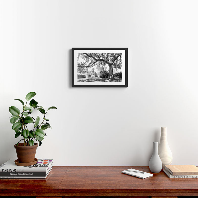 South Carolina Lowcountry Landscape Photography Framed Art Print Gallery Image 2