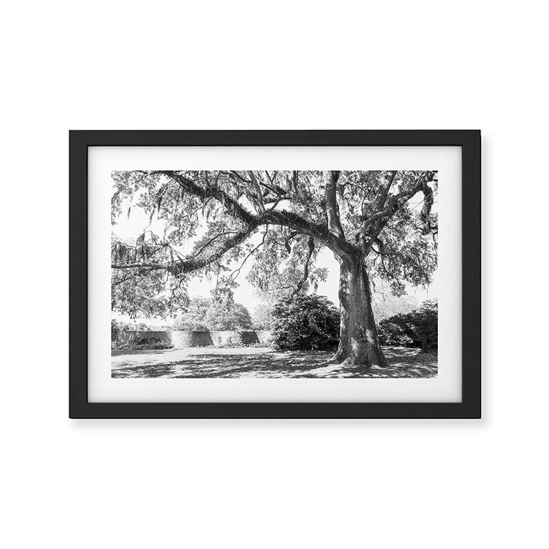 South Carolina Lowcountry Landscape Photography Framed Art Print Gallery Image 2