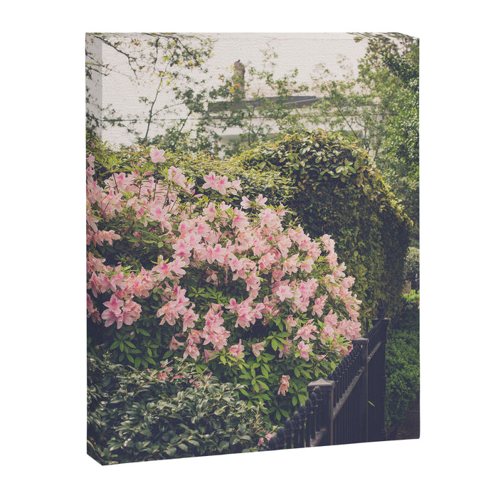 Springtime in New Orleans x New Orleans Photography Canvas Print Gallery Image 1