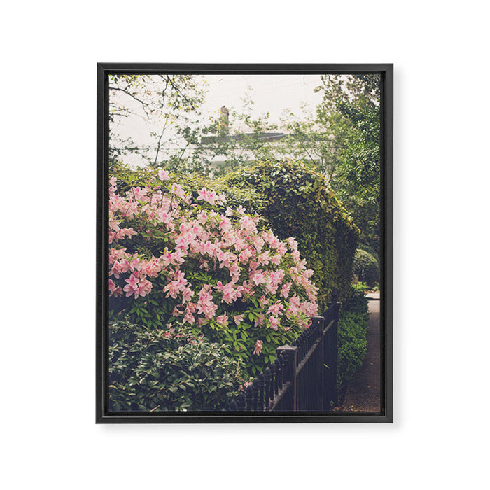 Springtime in New Orleans x New Orleans Photography Framed Canvas Print Gallery Image 1