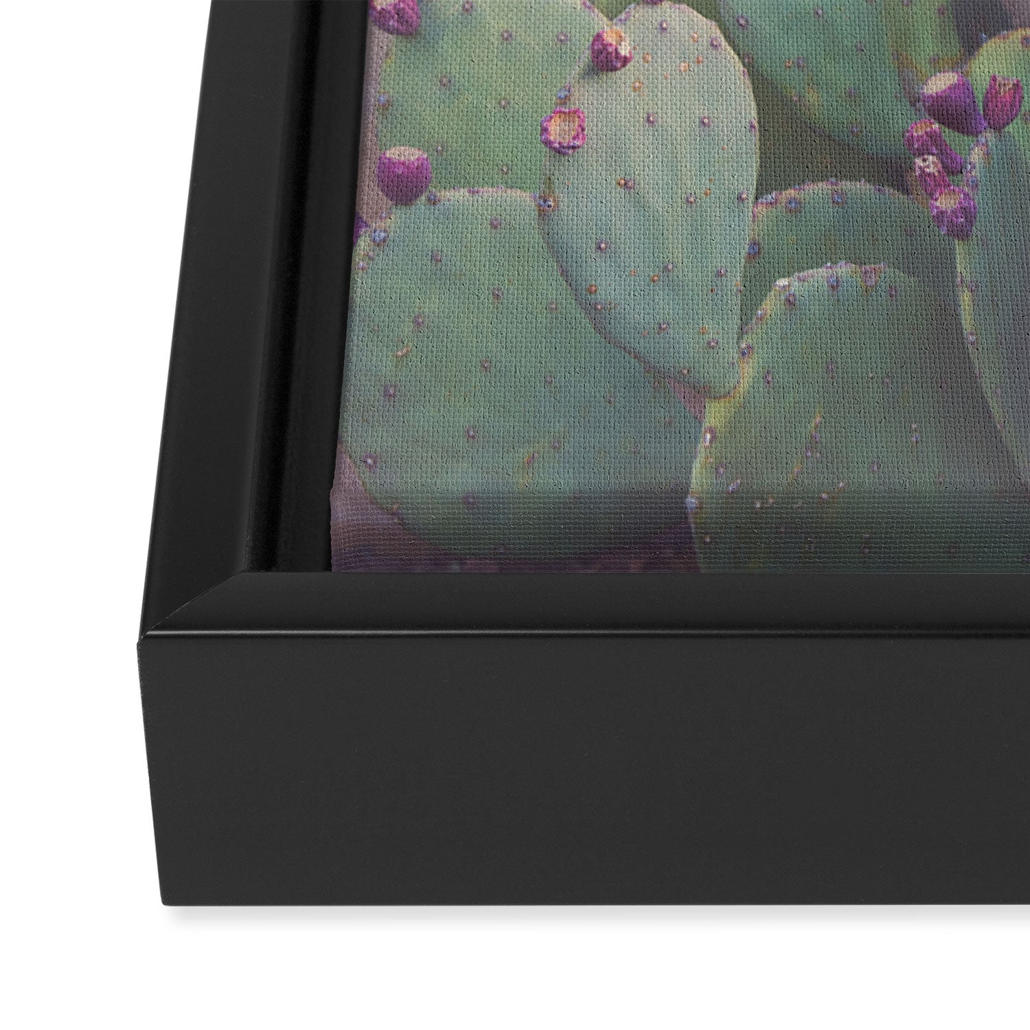 Still Life in Marfa Framed Canvas Print Gallery Image 3