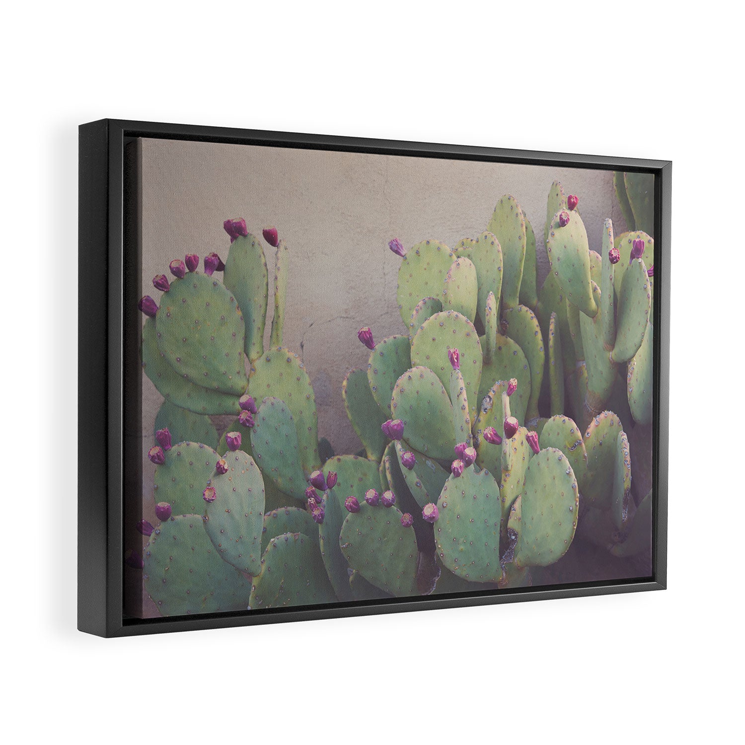 Still Life in Marfa Framed Canvas Print Gallery Image 2