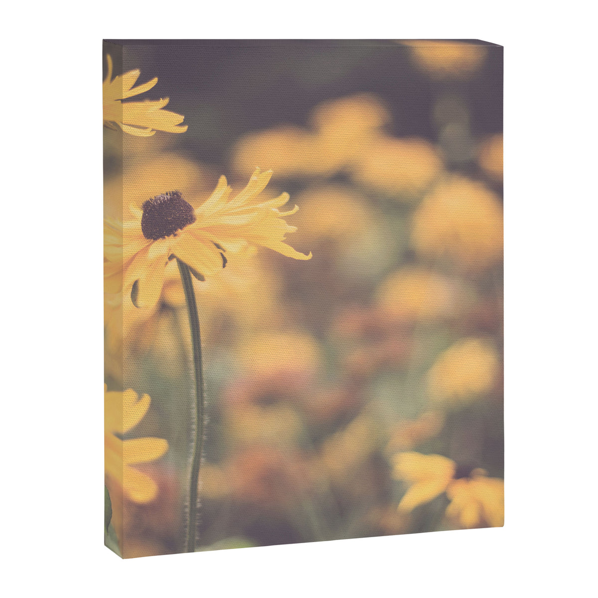 Summer Flowers Canvas Print Gallery Image 6